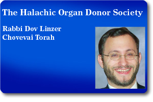 Rabbi Dov Linzer