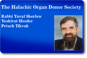 Rabbi Yuval Sherlow