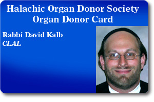 Rabbi David Kalb