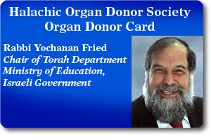 Rabbi Yochanan Fried
