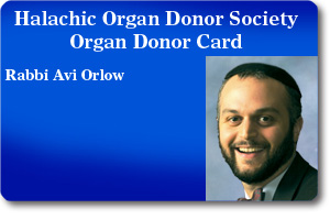 Rabbi Avi Orlow