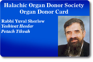 Rabbi Yuval Sherlow
