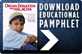 View or Download Educational Pamphlet